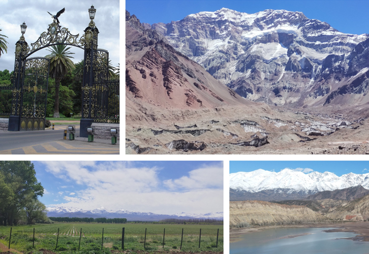 Banner-ANDEX-2025-4-363x250