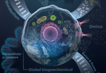 biogeoscapes